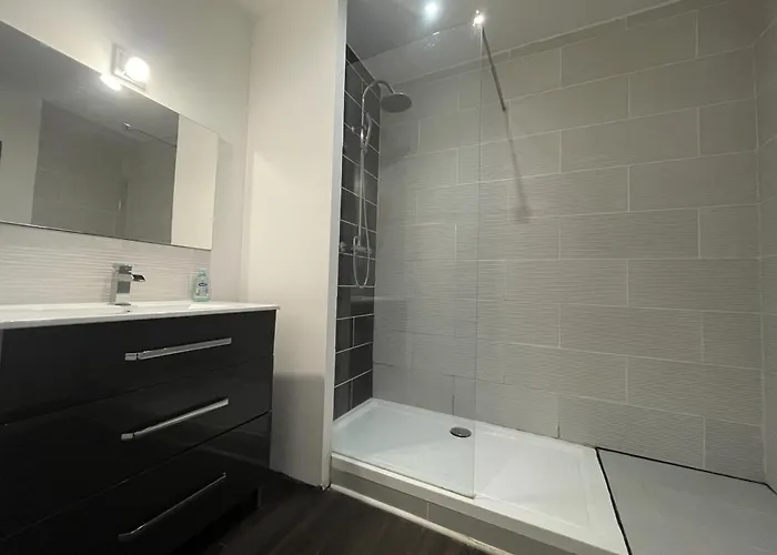 The Central's Pearl - Centre - 6p - Reve Au Mans 公寓